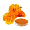 Marigold Extract